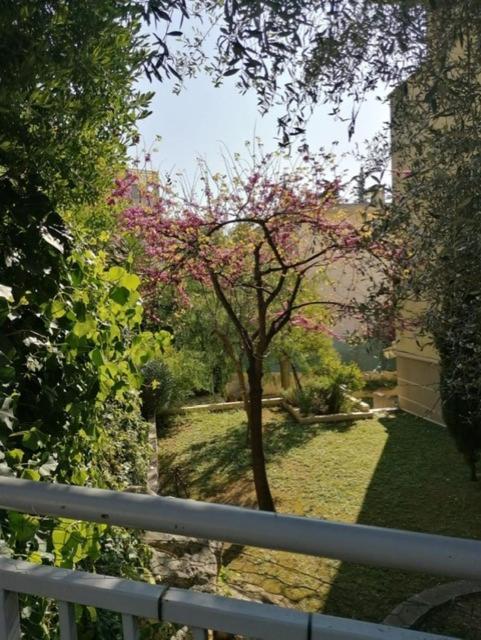 Villa Soraya , Quiet Location With Big Garden Near Beach And Old Town Of ניס מראה חיצוני תמונה